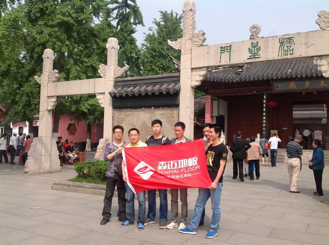 8008.app芭乐视频地板团队畅游南京夫子庙秦淮河风景区